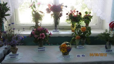 Изображение Изображение