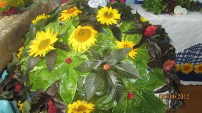 Изображение Изображение