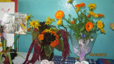 Изображение Изображение