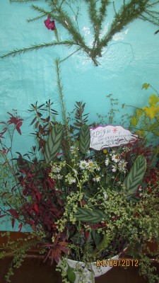 Изображение Изображение