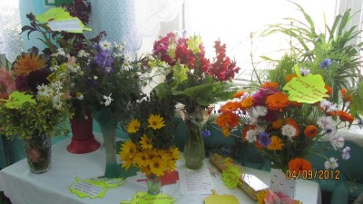 Изображение Изображение