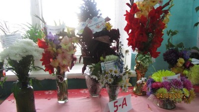 Изображение Изображение