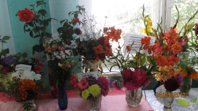 Изображение Изображение