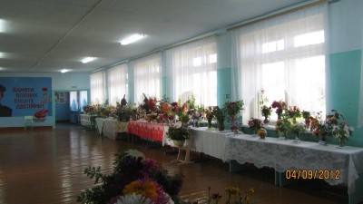 Изображение Изображение