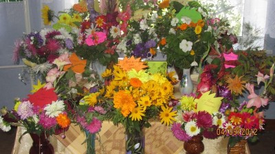 Изображение Изображение