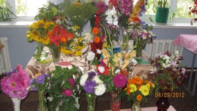 Изображение Изображение