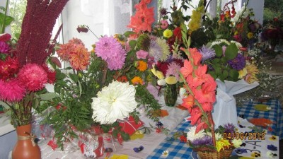 Изображение Изображение