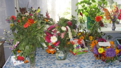 Изображение Изображение